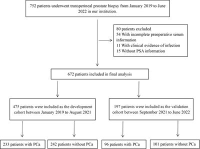 Development and validation of a predictive model for diagnosing prostate cancer after transperineal prostate biopsy